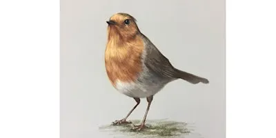 Beginners Pastel Pencils Workshop - Festive Robin Portrait