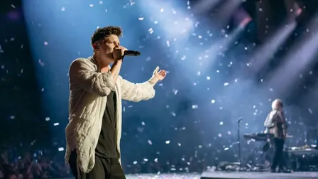 The Script