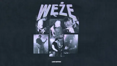 Węże