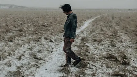 DAMIEN RICE