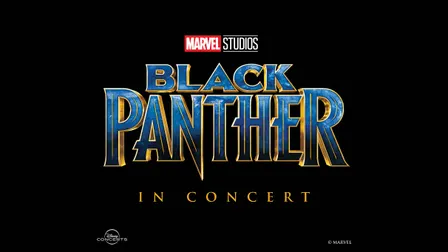 Black Panther In Concert