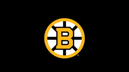 Boston Bruins vs. San Jose Sharks