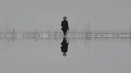 The Veils