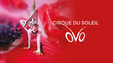 Cirque du Soleil - OVO