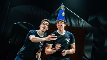 Potted Potter (Chicago)