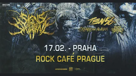 SIGNS OF THE SWARM, TEN56, OCEANS ATE ALASKA, FACE YOURSELF