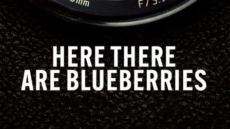 Here There Are Blueberries