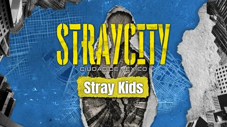 STRAYCITY MEXICO CITY