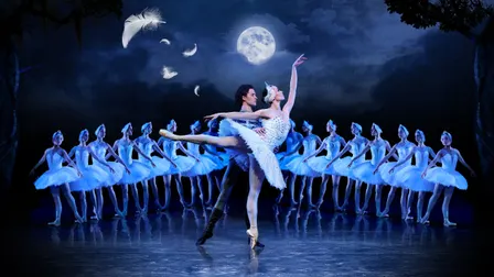 Cape Ballet – Swan Lake