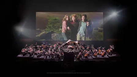 Harry Potter and the Goblet of Fire(TM) in Concert