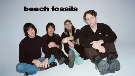 Beach Fossils