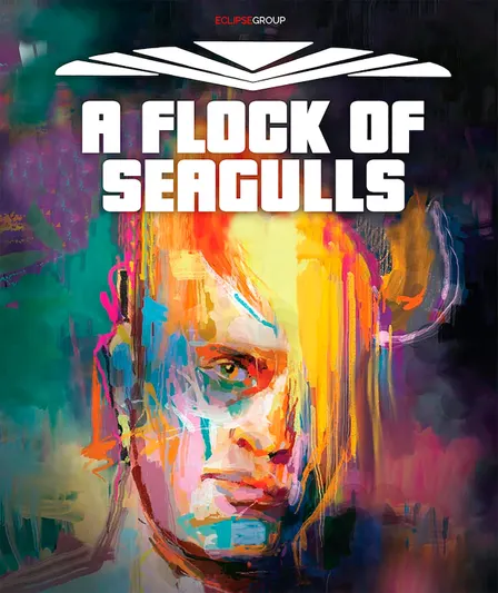 A Flock Of Seagulls