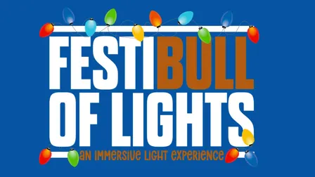 FestiBull of Lights