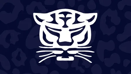 Birmingham Panthers VS London Pulse