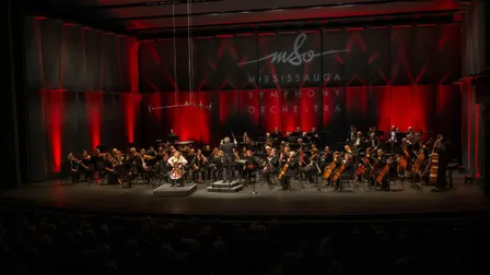 The Art of the String Orchestra