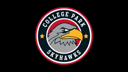 College Park Skyhawks vs. Raptors 905