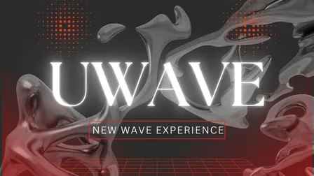 U WAVE (B) - New Wave Experience