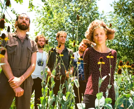 Pond – Terrestrials Tour