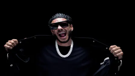 DJ Pauly D