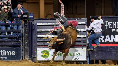 PBR Bull Riding - Mon. Jan. 11 7pm