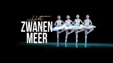 HET ZWANENMEER