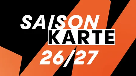 BR Volleys Saisonkarte 26/27