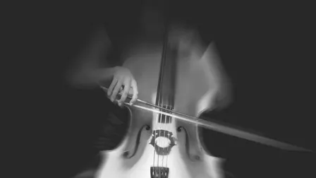 Auckland Philharmonia: Haydn & Shostakovich