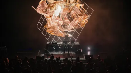 Halina Rice - Immersive A/V Show