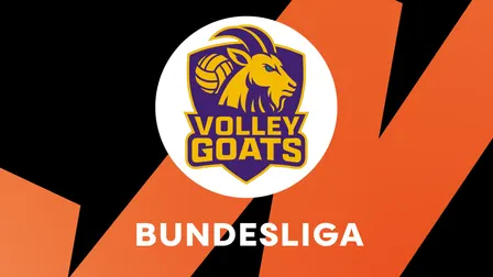 BR Volleys vs. cerebricks VOLLEY GOATS