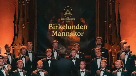 Julekonsert med Birkelunden mannskor 2026