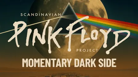 The Pink Floyd Project - Momentary Dark Side