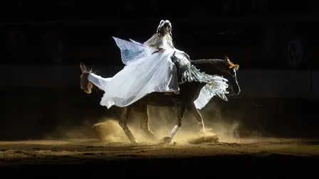 Freestyle Reining - Sun. Jan. 10 3pm