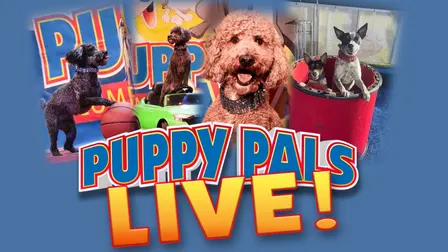 PUPPY PALS LIVE!