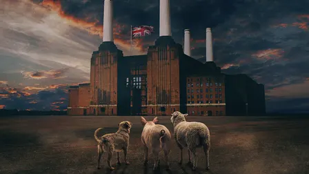 BRIT FLOYD - ANIMALS 50