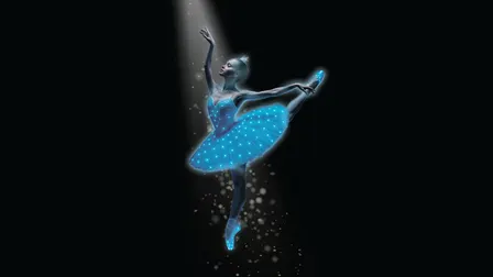 Swan Lake - Symphony of Lights