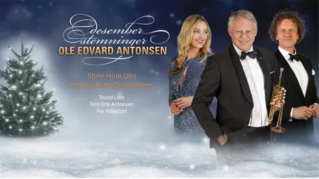 Desemberstemninger