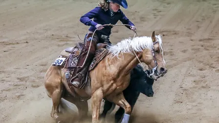 Performance Horse Showdown - Sat. Jan. 9 2pm