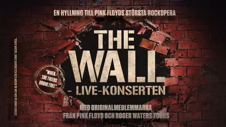 THE WALL - Live in Concert
