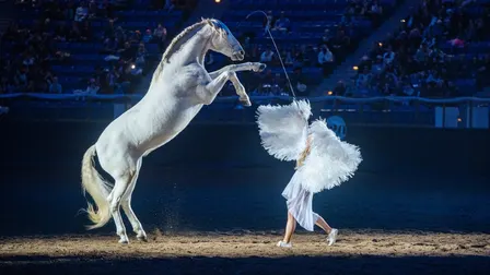 An Evening of Dancing Horses presented by 9News - Thur. Jan. 21 7pm