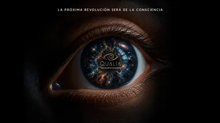 Qualia, 2a Cumbre Internacional de Ciencia de la Consciencia