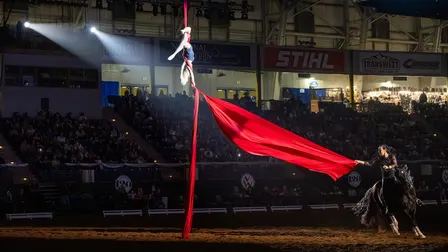 An Evening of Dancing Horses presented by 9News - Fri. Jan. 22 7pm