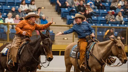 Draft Horse Show - Sat. Jan. 23 1pm