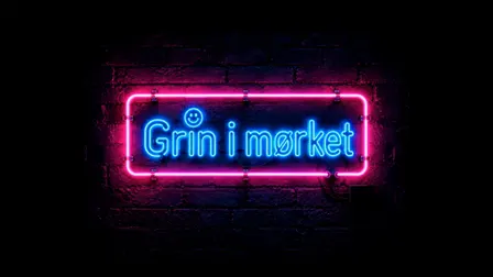 Grin i mørket