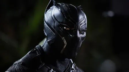 Black Panther In Concert: The North American Tour