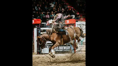 Moncton KIOTI Stampede