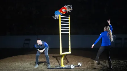 Xtreme Dogs - Mon. Jan. 18 1:30pm