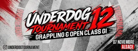 Underdog Tournament #12