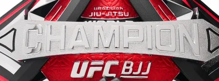 UFC BJJ #11