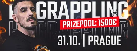 HEROES GATE GRAPPLING 2