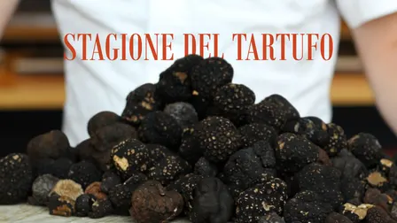 Stagione del tartufo